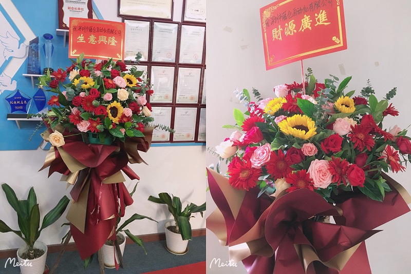 迎春花 迎春花