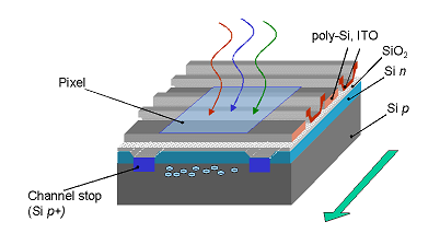 CCD傳感器芯片結構圖和PCB原理圖和布局都是相似的(圖1)