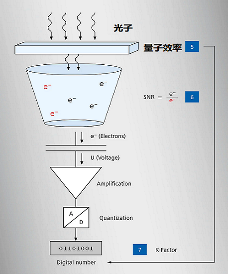 CMOS傳感器的工作原理和主要特點實現精確的圖像評估(圖2)